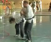 French meeting of Ju-Jitsu schools (25/03/2007)